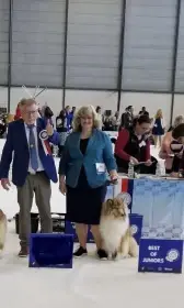 Vítěz Evropské výstavy 2025 Best Junior