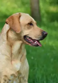 Masters of Water Tequila