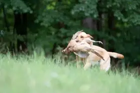 Masters of Water Tequila