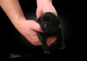 věk na fotce 7 dní