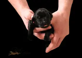 věk na fotce 7 dní