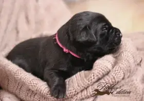 věk na fotce 12 dní