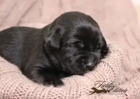 věk na fotce 12 dní