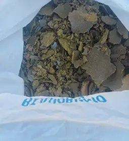 Slunečnicove pokrutiny