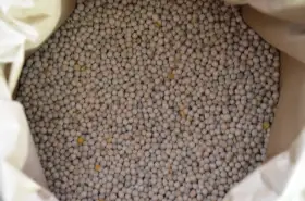 Prodám: Lesknici, oves nahý, proso žluté a zelené, hrách a hrachový šrot