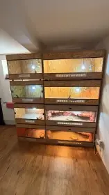 Prodej chovu Agamy a Terátia