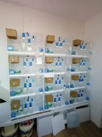 Chovné klece pro drobné ptáky