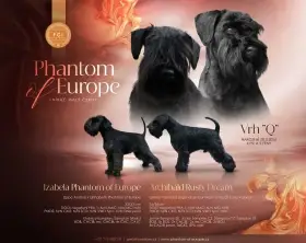 Knírač malý černý s PP