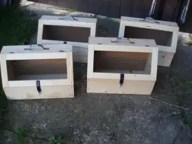 Prodám přepravky na králíky