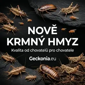 Nově u nás pořídíte i kvalitní krmný hmyz