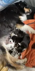 mama_Pupo
