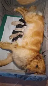 První den po narození