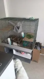 Daruji tady tuhle klec i s vybavením