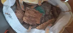 Daruji dřeviny do terárií