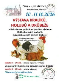 Výstava králíků, holubů a drůbeže v Přešticích