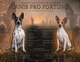 Letáček