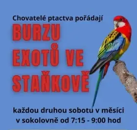 HLEDÁME: Člověka pro výkup ptactva na Burze exotů ve Staňkově.