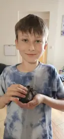 Osmáci degu