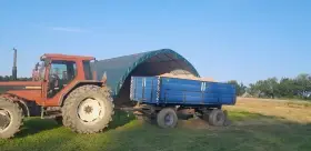 Pšenice, ječmen, oves, sláma