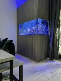 Prodám akvária