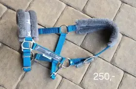 Vybavení pro koně