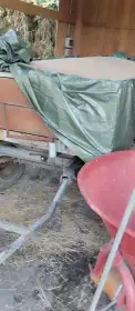 Ječmen
