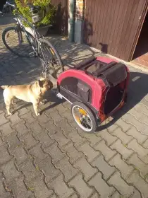Vozík pro psa