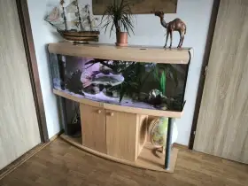 Vypouklé akvárium
