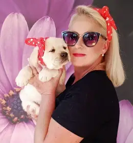 Labradorský retrívr s PP - žlutý kluk