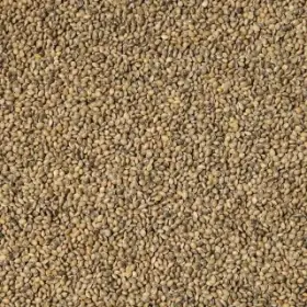 Lesknici, oves nahý, proso žluté a zelené , hrách.