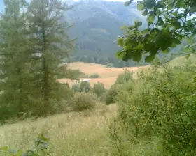 Kamarádka-parťačka pro veselejší život???