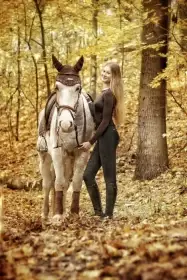 Nabízím pronájem Koně