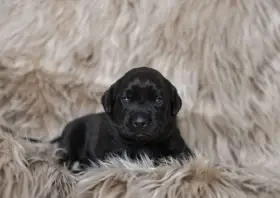 věk na fotce 3 týdny