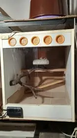 Prodám terárium 50*60*60 cm