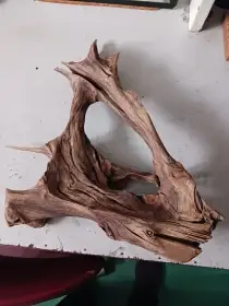 Kořen do akvária