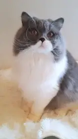 Gríša Mikešův dvůr CZ