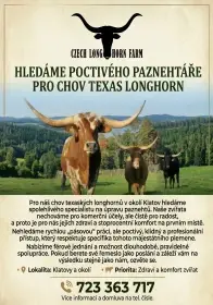 Hledáme poctivého paznehtáře pro chov Texas Longhorn