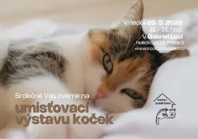 Umísťovací výstava koček v Praze 5