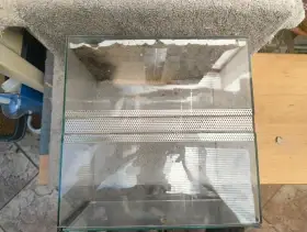 terarium 30/30/20