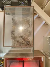 terarium 50/50/85