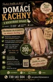 Kachny