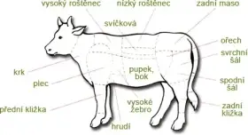 Hovězí maso