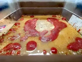 Živé krmivo