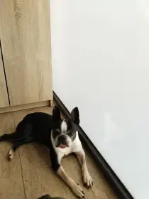 Amy❤️9let