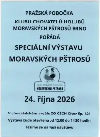 Moravský pštros - Klubová výstava MP