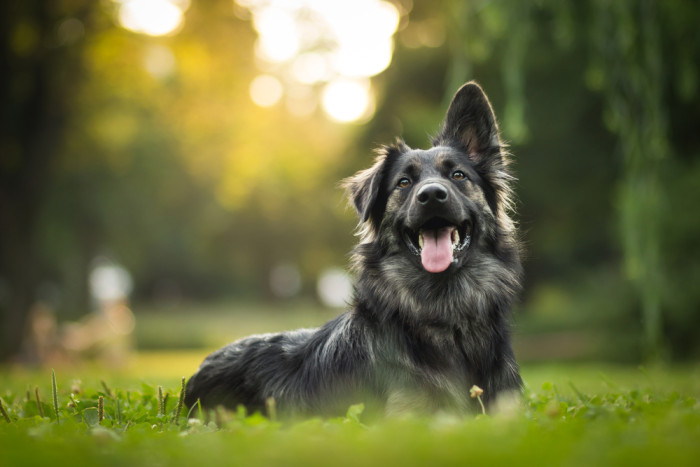 Foto: Shutterstock