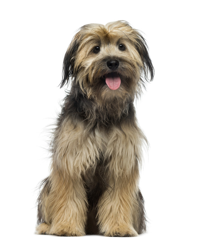 Foto: Shutterstock