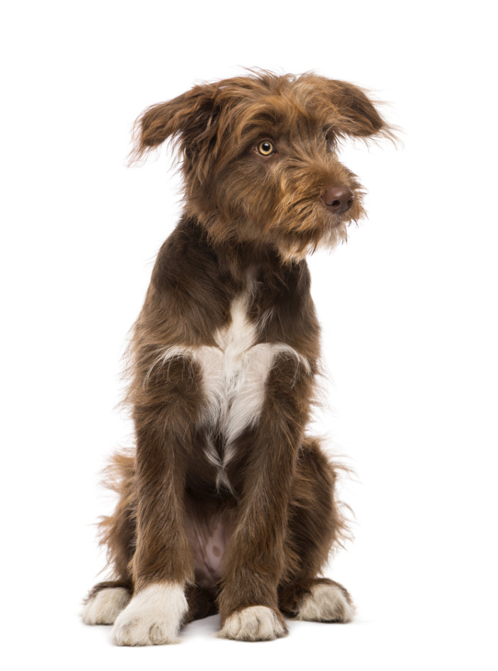 Foto: Shutterstock