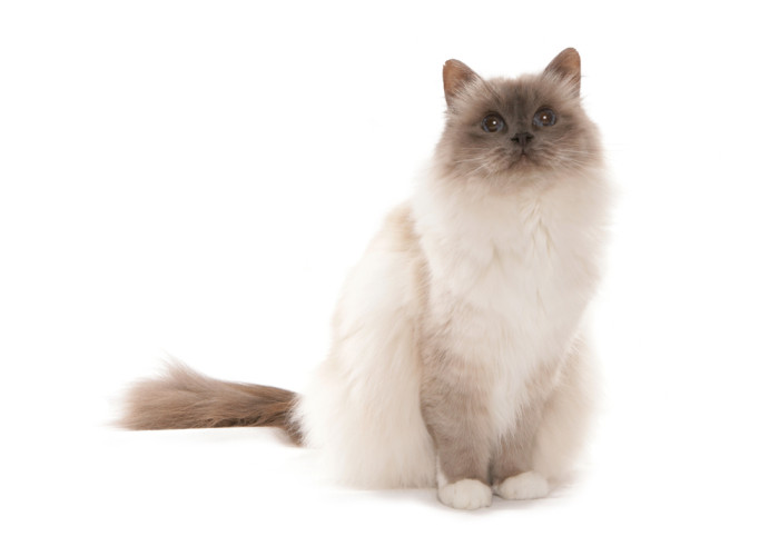 Birma, foto: Shutterstock