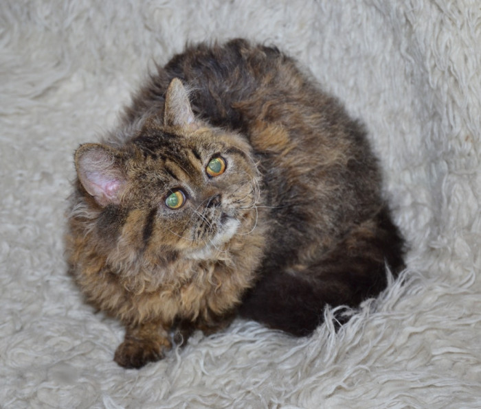 Iggy Od potoků, foto: Mirka Knoblochová